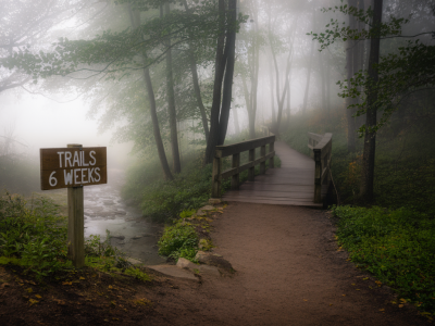Quel plan d'entraînement trail (6 semaines) pour courir en forêt brumeuse tout en minimisant son empreinte écologique