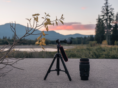 Quel réglage et accessoire minimal pour capturer une biche au petit matin avec un objectif 70‑200 sans l'effrayer