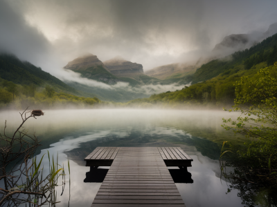 Planifier une sortie photo de la saison des brumes en respectant les périodes de nidification